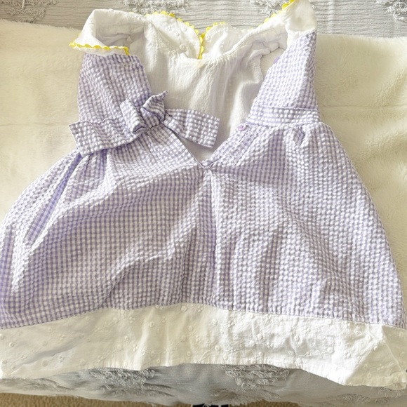 Blueberi Boulevard Purple and Yellow Gingham seersucker flower spring Dress 2T - Picture 4 of 6